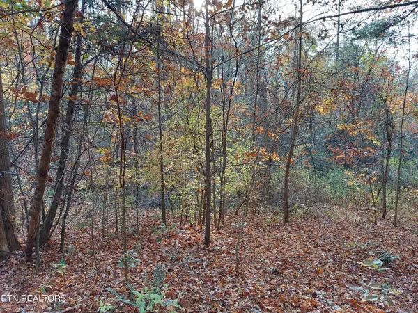 Del Rio, TN 37727,Lot 19 Sugar Maple WAY