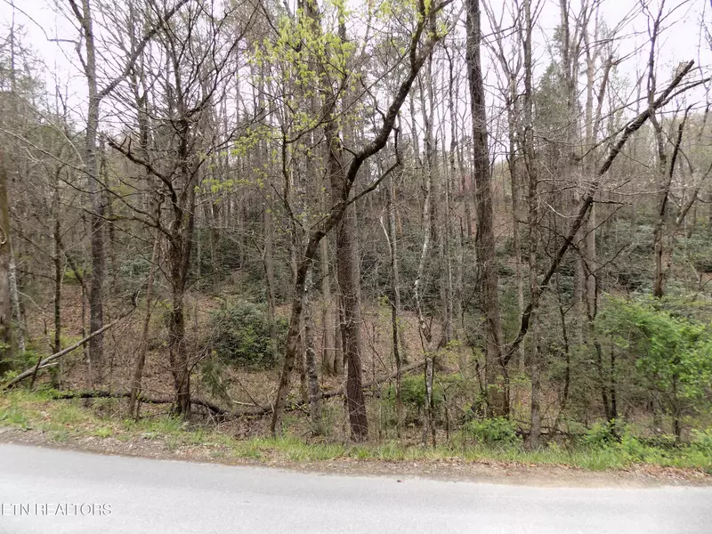 Lot 11 Deerfoot Rd, Cosby, TN 37722