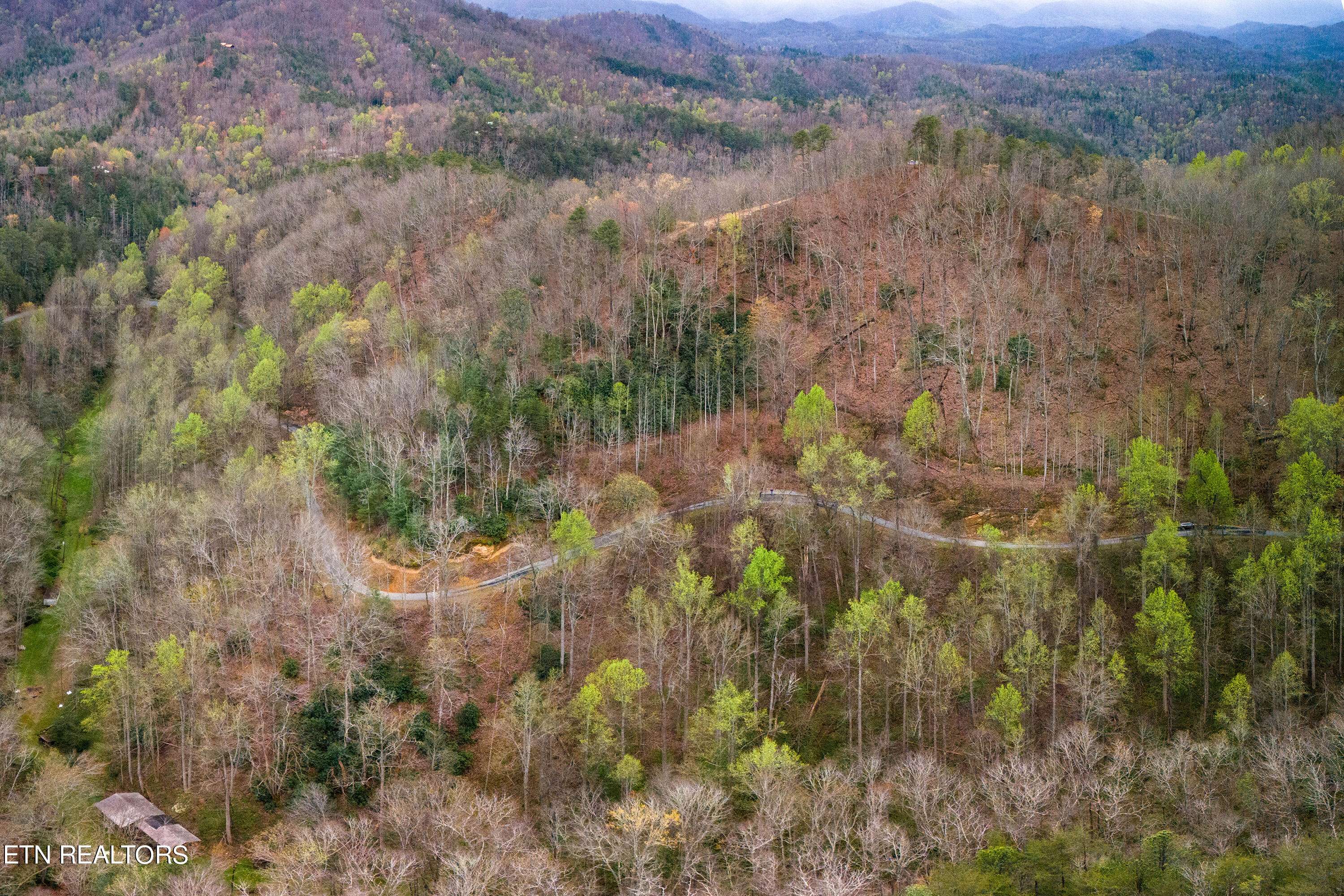Townsend, TN 37882,1017 Big Buck Tr