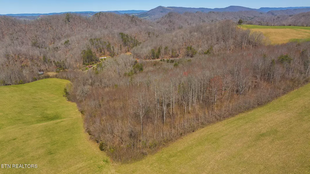 Tract 2 Bundren Mountain, Tazewell, TN 37879