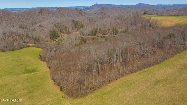 Tract 3 Bundren Mountain, Tazewell, TN 37879