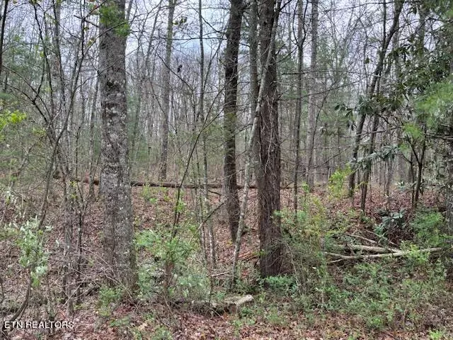 Tallassee, TN 37878,Lot 19 Bear Rd