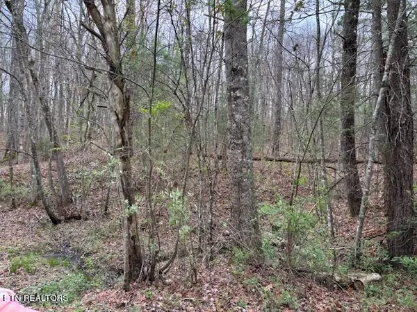 Tallassee, TN 37878,Lot 20 Bear Rd