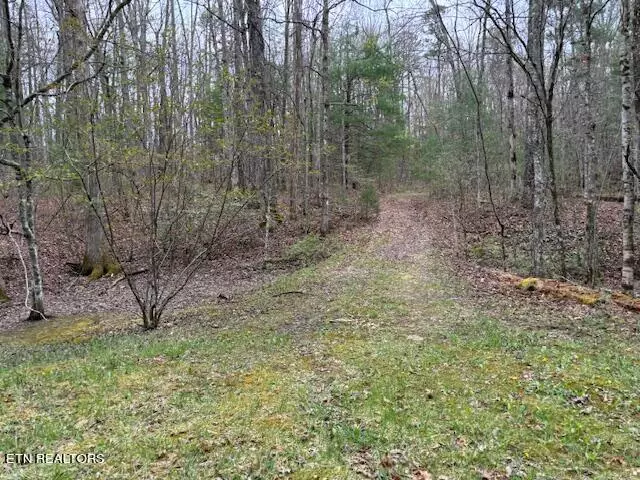 Tallassee, TN 37878,Lot 20 Bear Rd