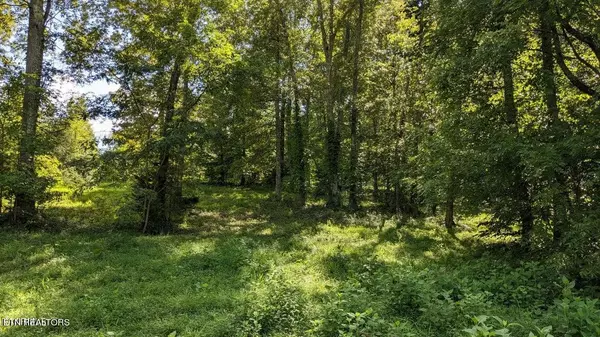 Madisonville, TN 37354,LOT 34 Springwater Run