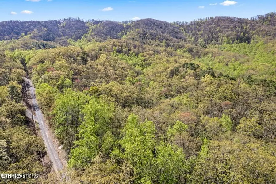 Lot Tr F Forest Trails DR, Sevierville, TN 37876