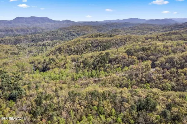 Sevierville, TN 37876,Lot Tr F Forest Trails DR