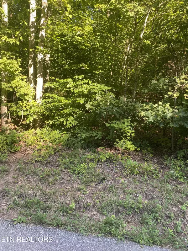 Knoxville, TN 37920,Lot #1 Whaley Lane