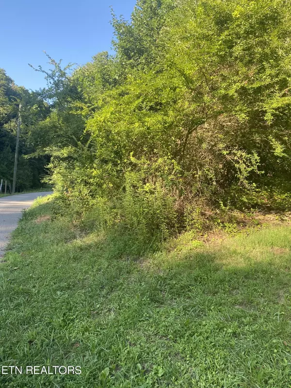 Knoxville, TN 37920,Lot #1 Whaley Lane