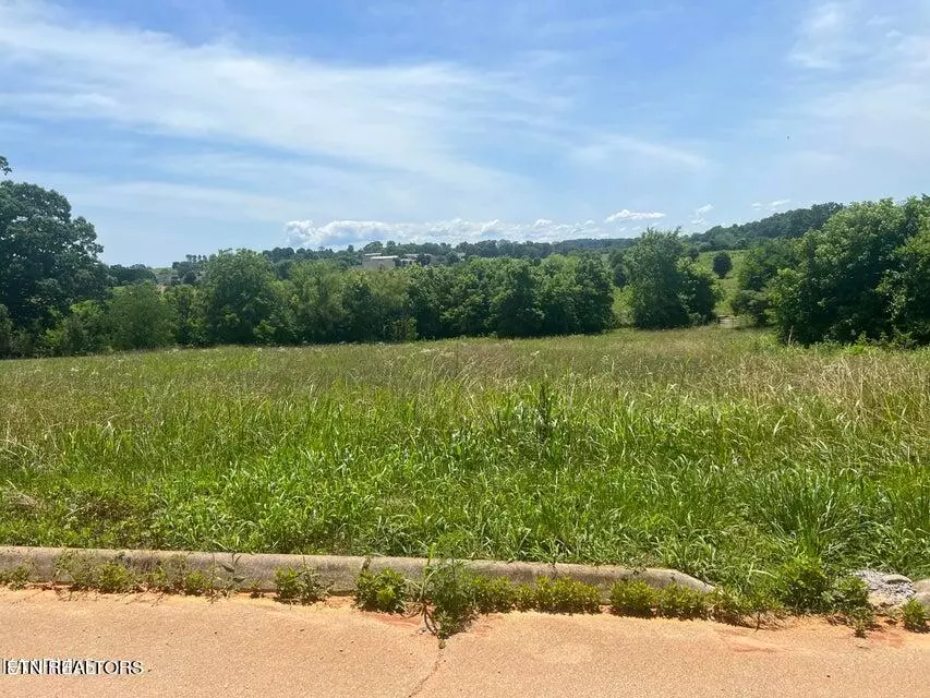 Madisonville, TN 37354,00 Victory DR