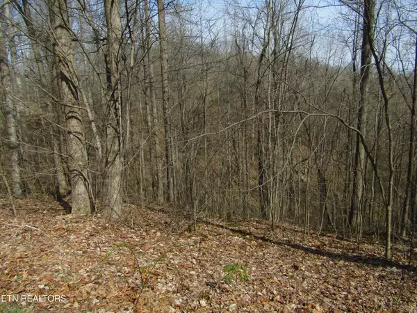 Smithville, TN 37166,4.71ac Hunters S Landing Lane