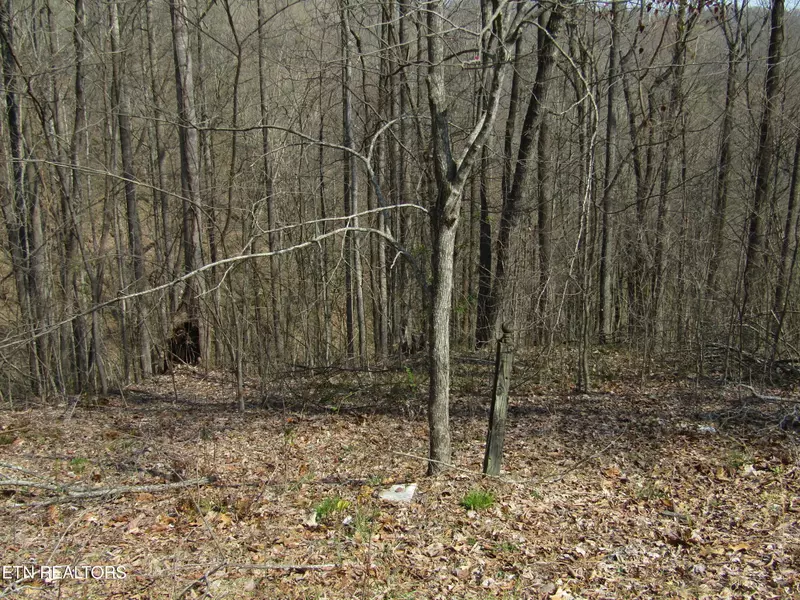 4.71ac Hunters S Landing Lane, Smithville, TN 37166