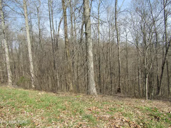 Smithville, TN 37166,4.71ac Hunters S Landing Lane