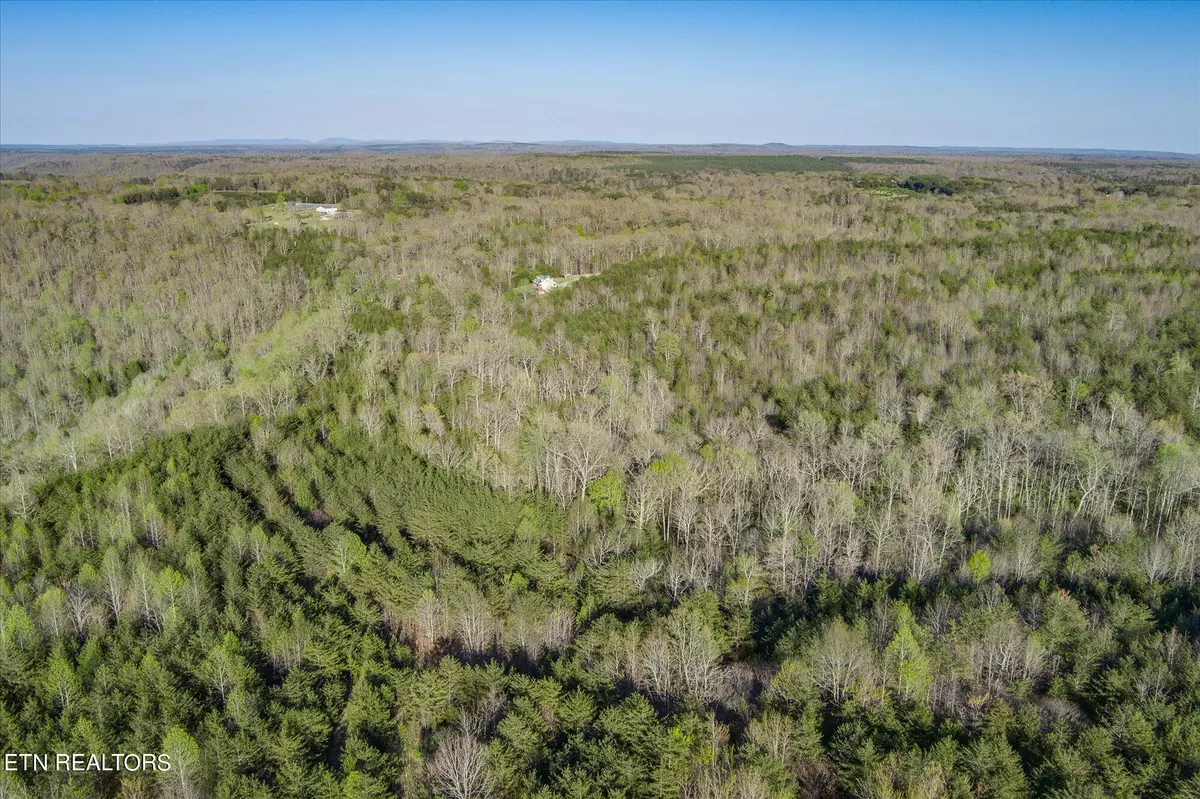 Spencer, TN 38585,8.09ac Golden Pointe Road