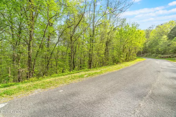 Sharps Chapel, TN 37866,Lot 218 Lakeview DR