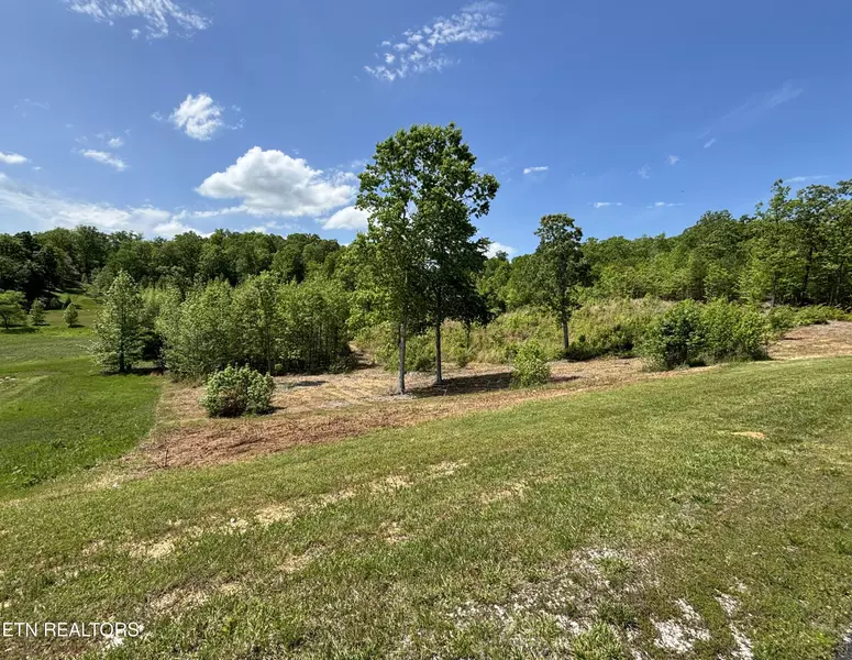 410 Water View DR, Rockwood, TN 37854