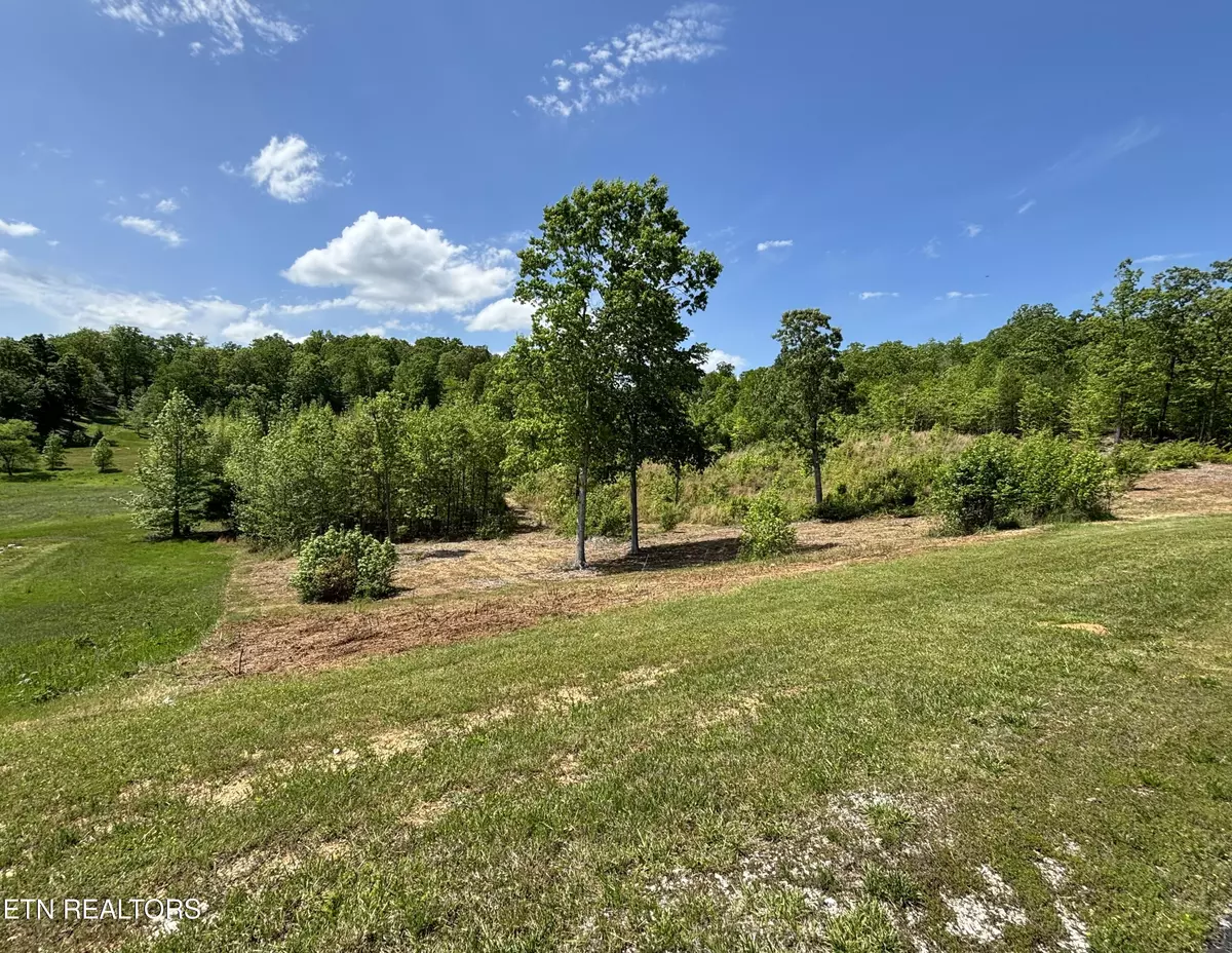 Rockwood, TN 37854,410 Water View DR