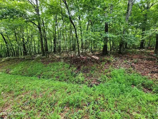 Fairfield Glade, TN 38558,120 Darwin LN