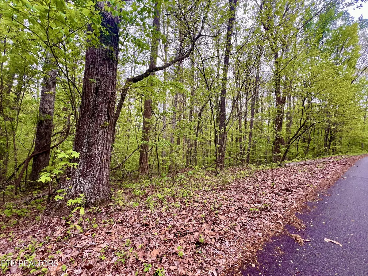 Madisonville, TN 37354,Lot 71&72 Polly Mountain Rd