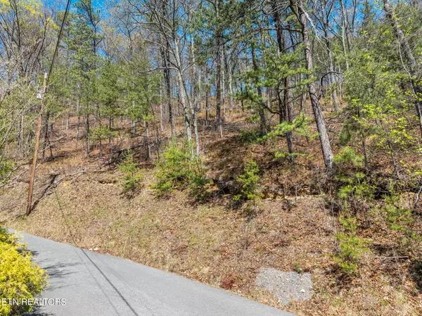 Sevierville, TN 37862,Lot 6A Overholt Tr