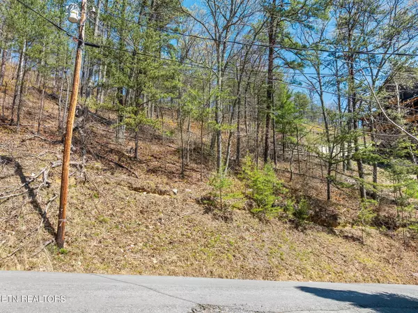 Sevierville, TN 37862,Lot 6A Overholt Tr