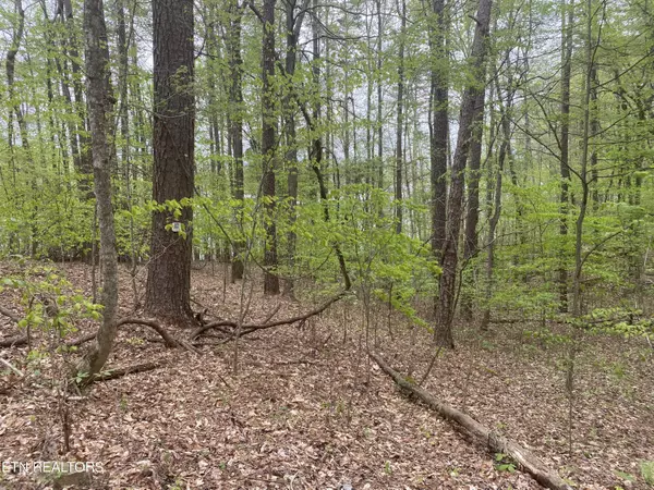 Maynardville, TN 37807,LOT#4,5&6 LAKEWOOD RD