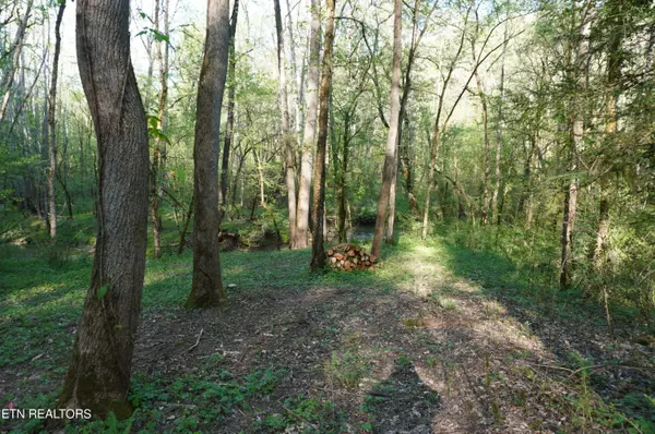 Newport, TN 37821,Lot 1A Golf Course Rd