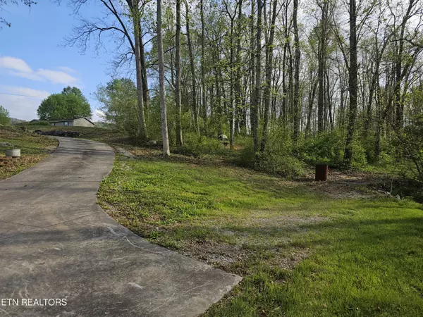 Tazewell, TN 37879,298 Lizzie DR