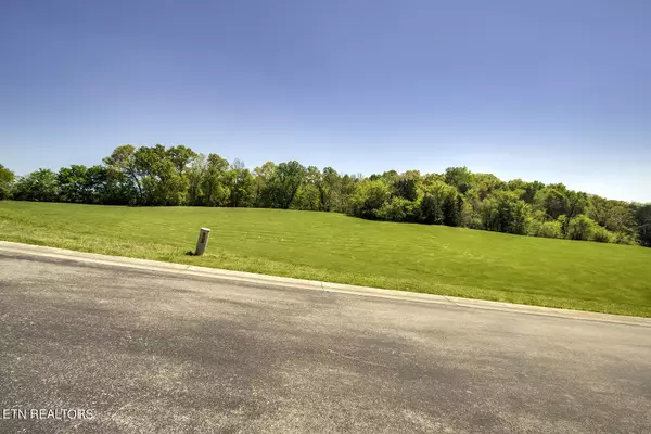 Vonore, TN 37885,Lot 42 Thunder Ridge Drive