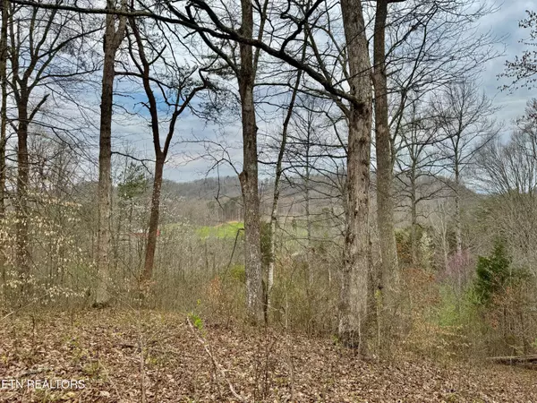 Clinton, TN 37716,0 Overlook LN