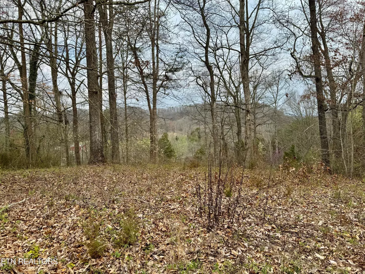 Clinton, TN 37716,0 Overlook LN