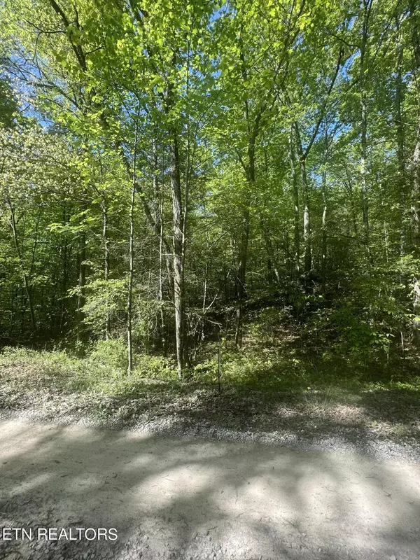 Rockwood, TN 37854,0 Lake Overlook DR