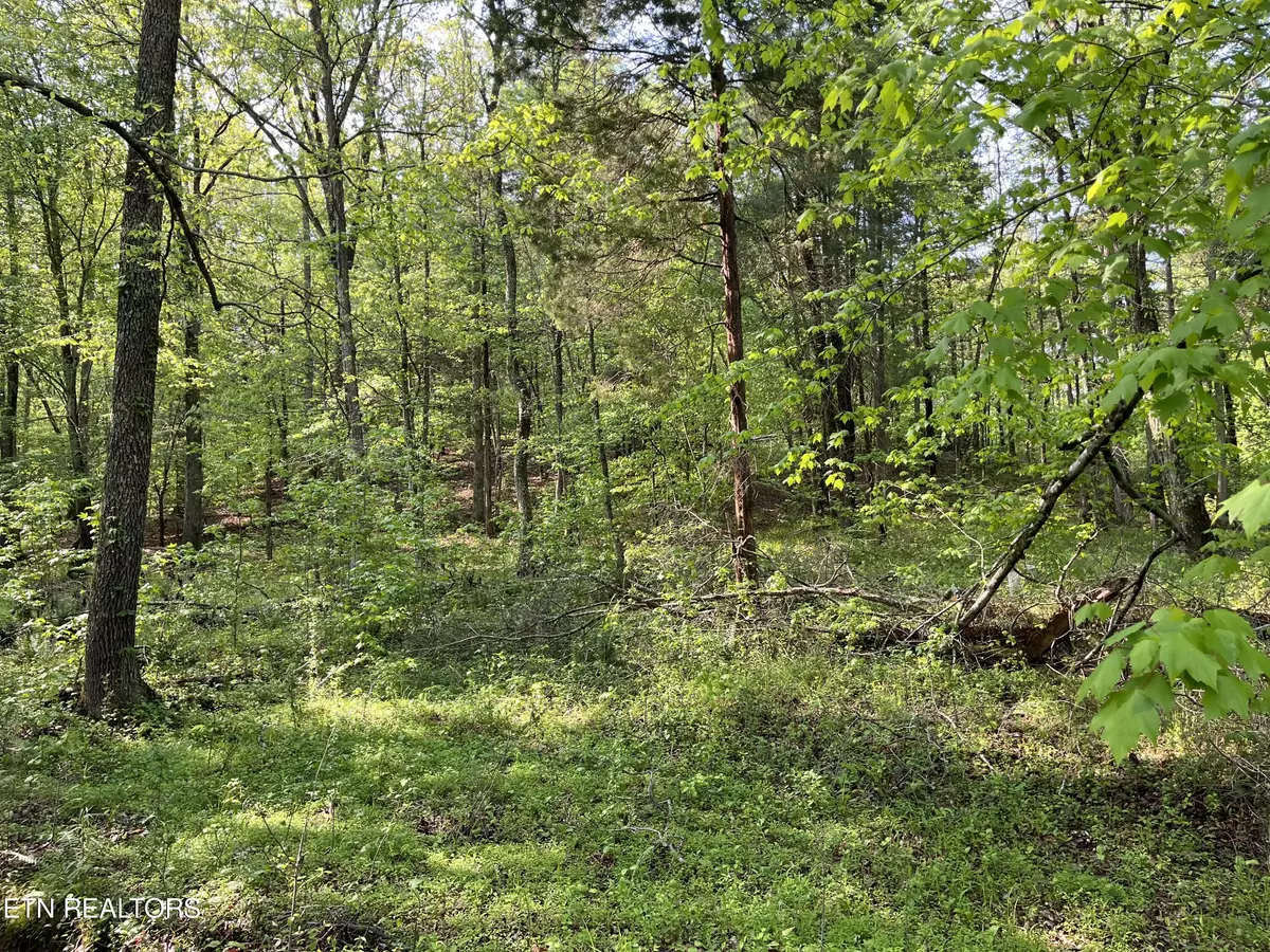 Ten Mile, TN 37880,Lot 3 Womack Hollow Road