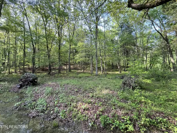 Ten Mile, TN 37880,Lot 3 Womack Hollow Road
