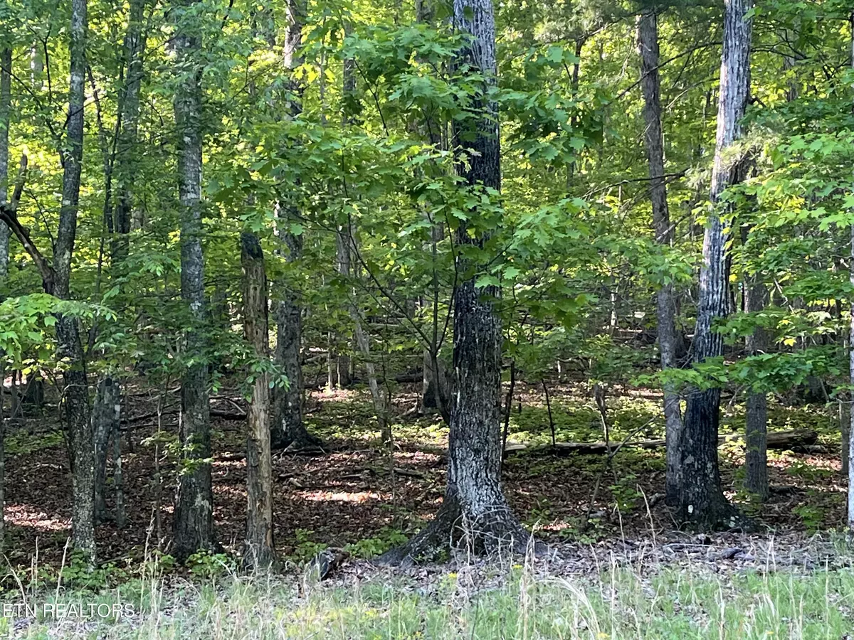 Spring City, TN 37381,lot 695 Rockview Drive