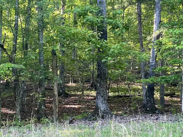 lot 695 Rockview Drive, Spring City, TN 37381