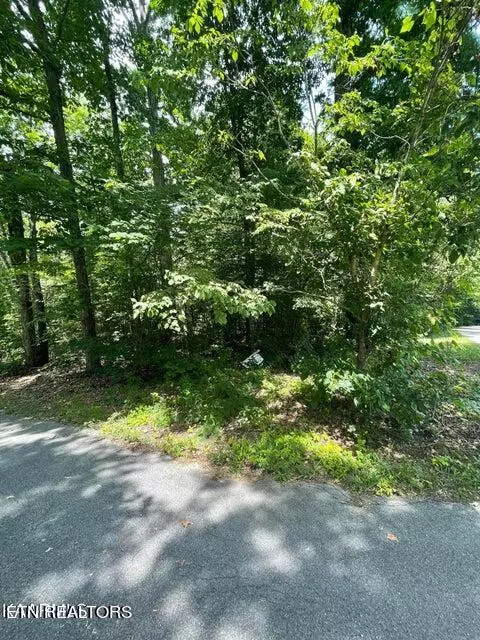 Sevierville, TN 37862,Lot 19 Somerset LN