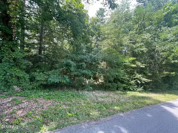 Sevierville, TN 37862,Lot 19 Somerset LN