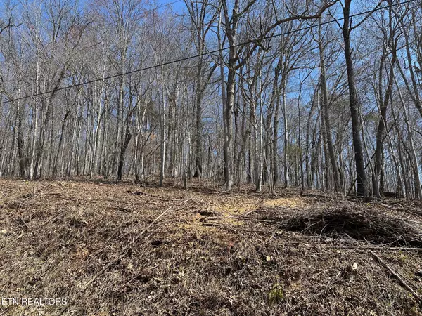 Lafollette, TN 37766,Lot 51 Harbor LN