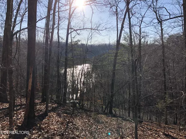 Lafollette, TN 37766,Lot 52 Harbor LN