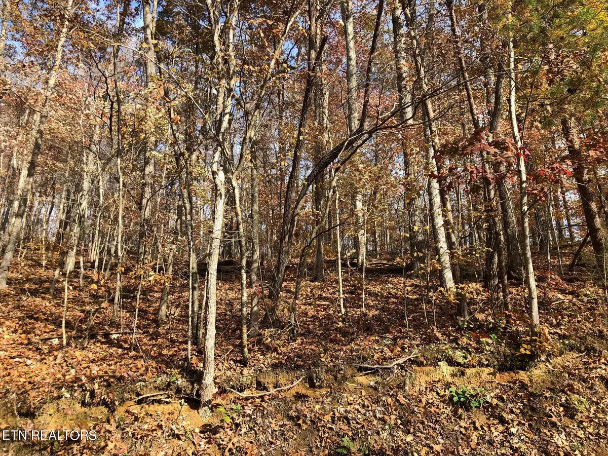 Lafollette, TN 37766,Lot 52 Harbor LN