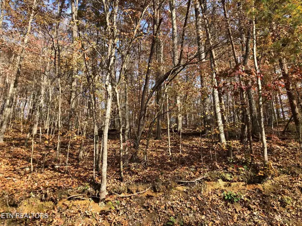 Lot 52 Harbor LN, Lafollette, TN 37766