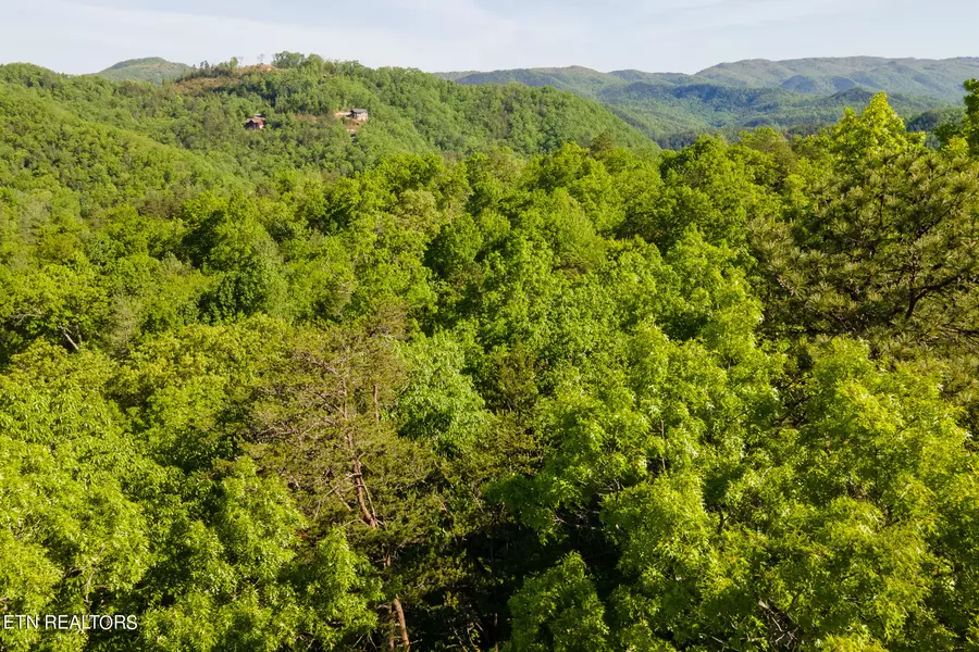 Lot 115 Whetstone Rd, Sevierville, TN 37862