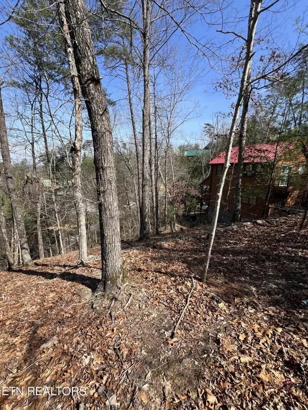 Sevierville, TN 37863,Lot 91 Chickasaw Gap WAY