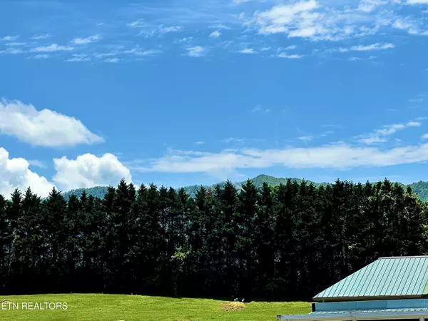 Townsend, TN 37882,518 Flamingo CIR