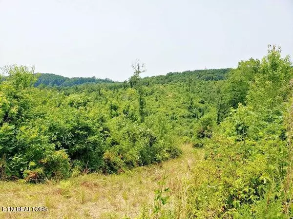 Decatur, TN 37322,169 County Road 188