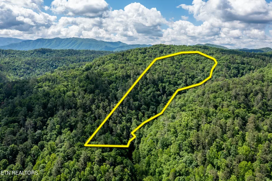 Lamar Alexander- 22.27 Acres Pkwy, Walland, TN 37886