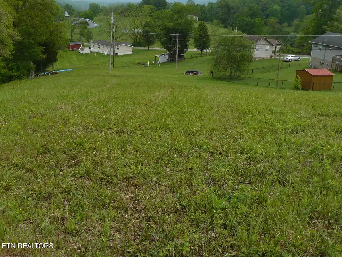 Tazewell, TN 37879,Della LN