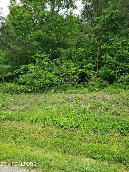 Lot 22 Lonesome Dove LN, Speedwell, TN 37870