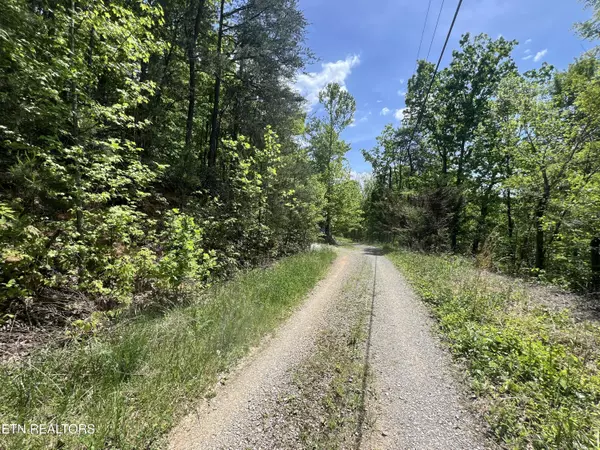 Lot 81 Yellowwod DR, Sevierville, TN 37876